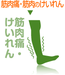 筋肉痛・筋肉のけいれん